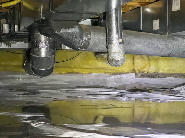 Best Local water damage restoration  in Alhambra, CA