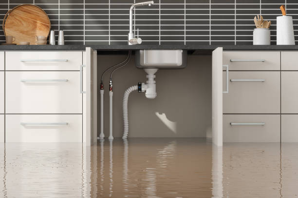 Best Professional water damage repair  in Alhambra, CA
