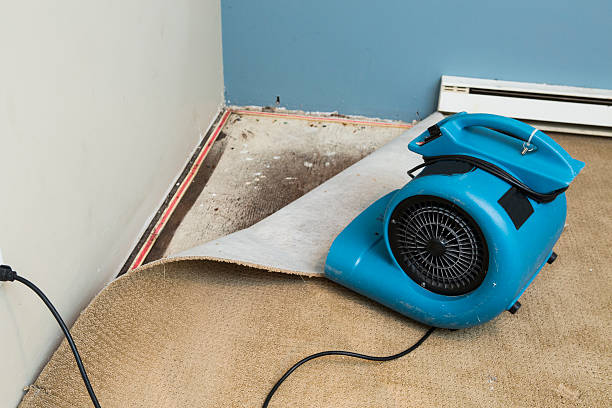 Best Emergency water damage restoration  in Alhambra, CA